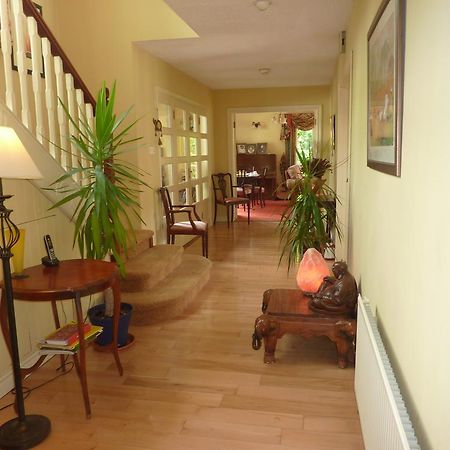 לינה וארוחת בוקר אניס Knocklyon House מראה חיצוני תמונה